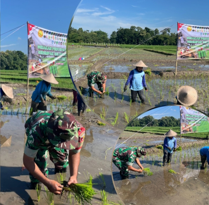 Ikuti Tanam Padi Serentak Se-Jatim, Babinsa Butun Bersama Forkopimda Perkuat Swasembada Pangan